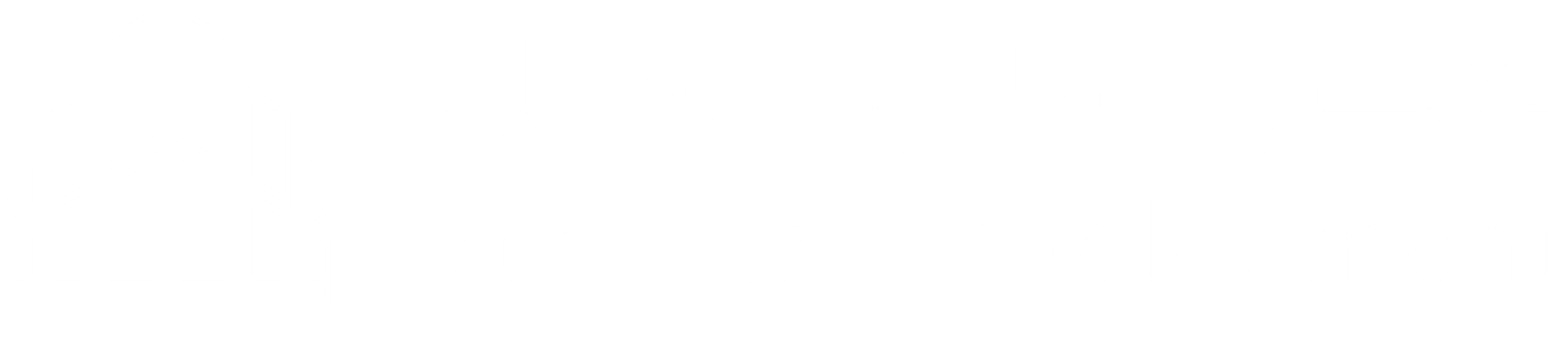 Lasheen Company